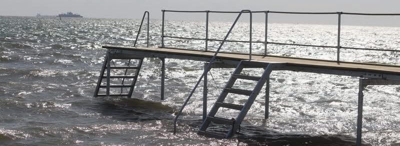 b8e6de32-e74c-4cb8-81c6-338004b9f695