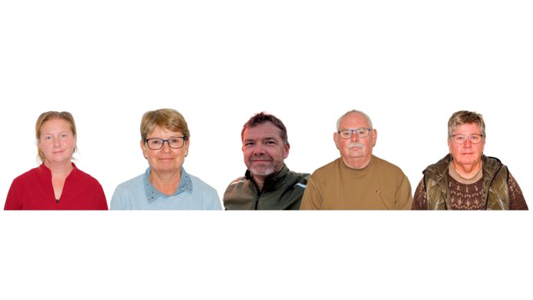 Streamer bestyrelse 2026