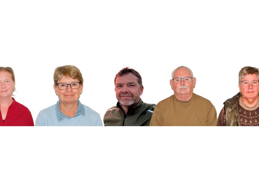 Streamer bestyrelse 2026